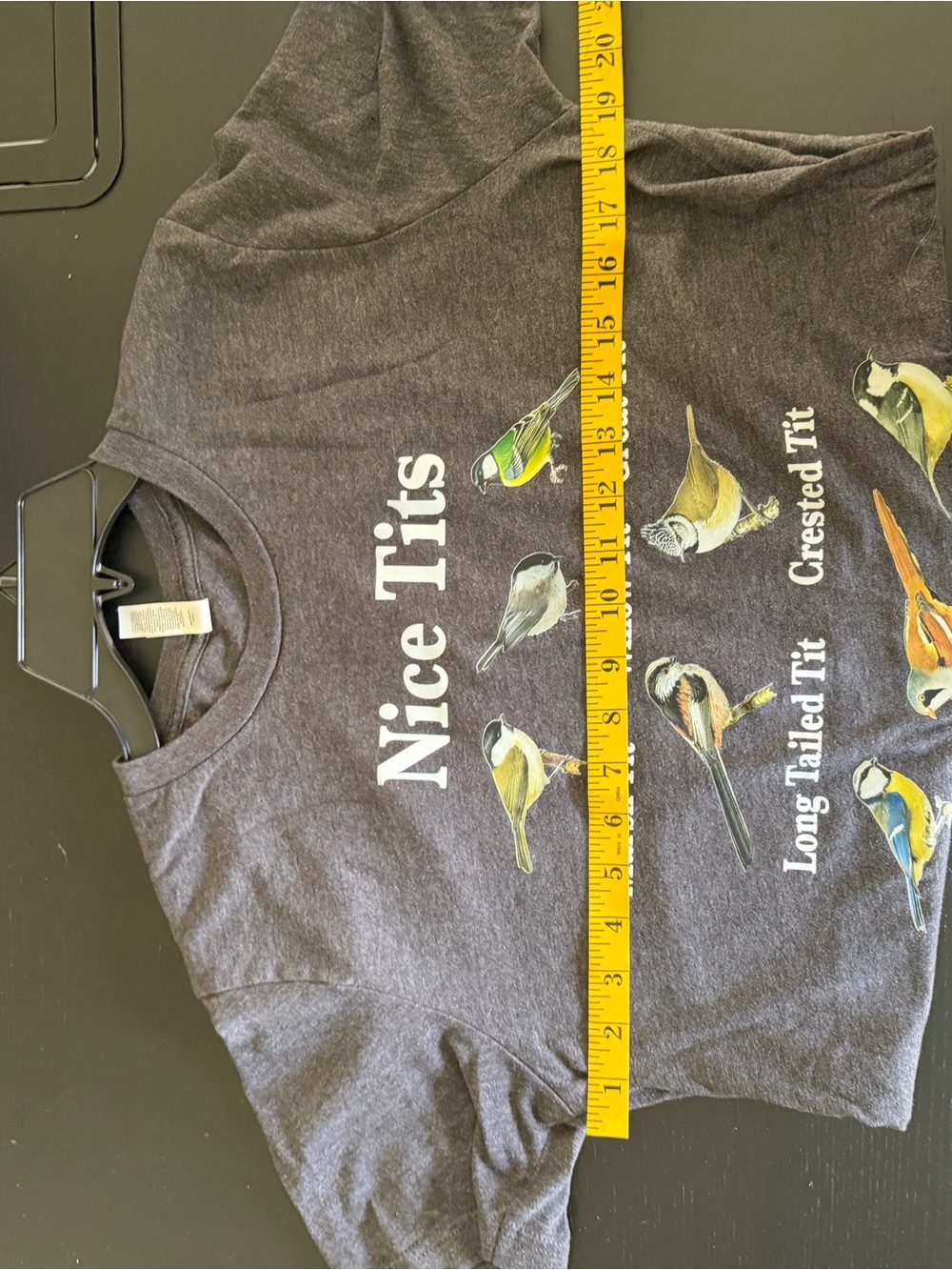 Bird 🐦 Lovers “Nice T*ts” Canvas Charcoal Gray Graphic Tee - Picture 4 of 5